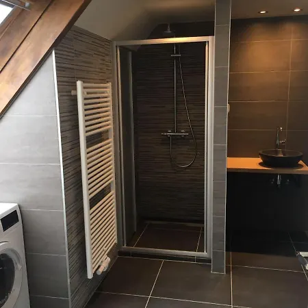 Ruim Appartement Met Sauna, Zuidstraat 125 In Westkapelle Exterior photo